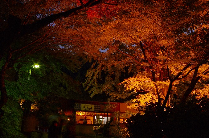 足助町香嵐渓